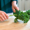 Scoop & Spread Kale and Herb Tool - touchGOODS
