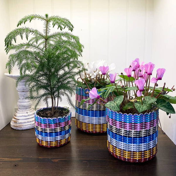 Boxi Planters ~ Multicolor - Set of 3 - touchGOODS