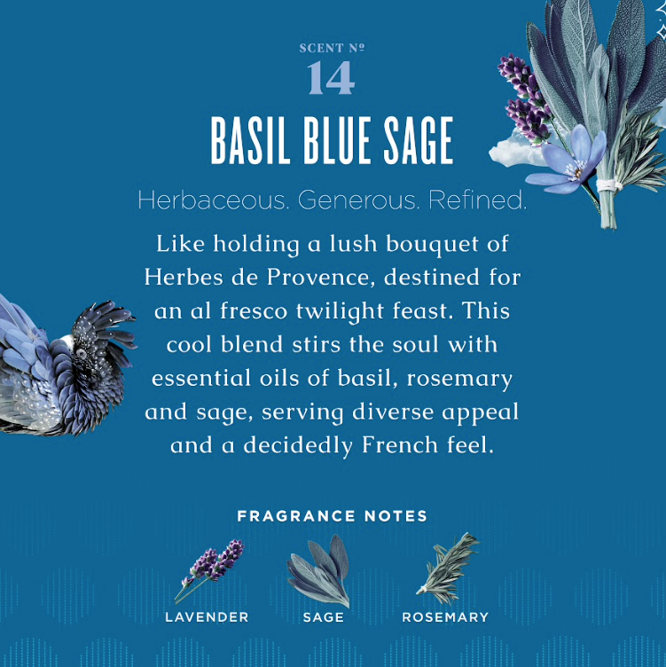 Basil Blue Sage Countertop Spray with Vegetable Protein - touchGOODS