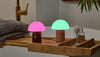 Mini Alice Mushroom Lamp - touchGOODS