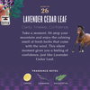 Lavender Cedar Leaf Dish Soap with Soap Bark & Aloe Vera - touchGOODS