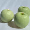 Apple Candle  Green, Apple Harvest  Single Apple - touchGOODS