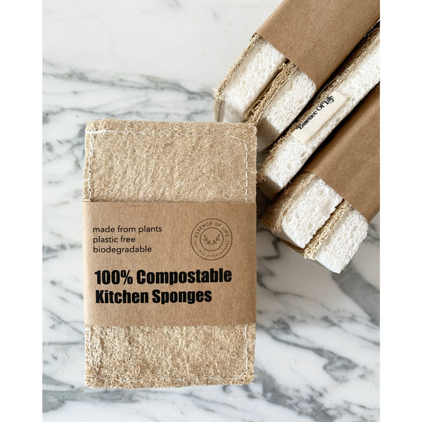 100% Compostable Kitchen Sponges, 2 pack - touchGOODS