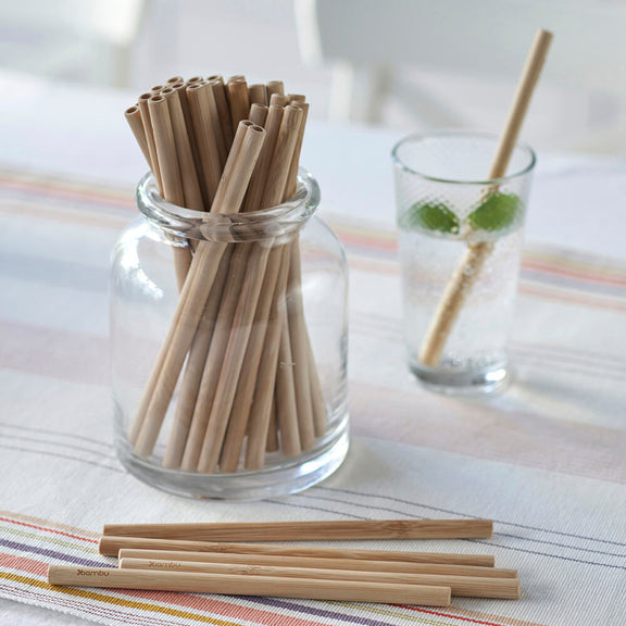 Precision Reusable Bamboo Straws, set of 6 - touchGOODS