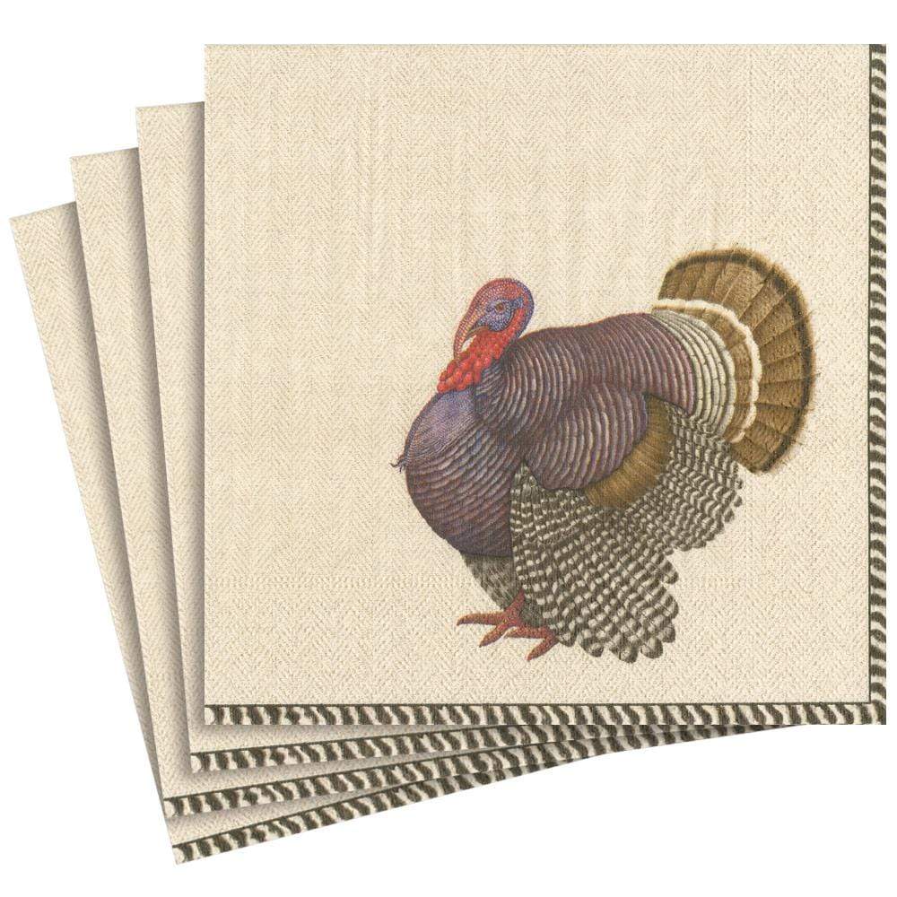 Thomas T. Byrd Paper Dinner Napkins- 15 Per Package - touchGOODS