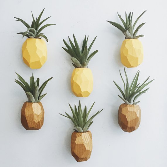 Pineapple Air Plant Magnets (PLANT INCLUDED) - touchGOODS