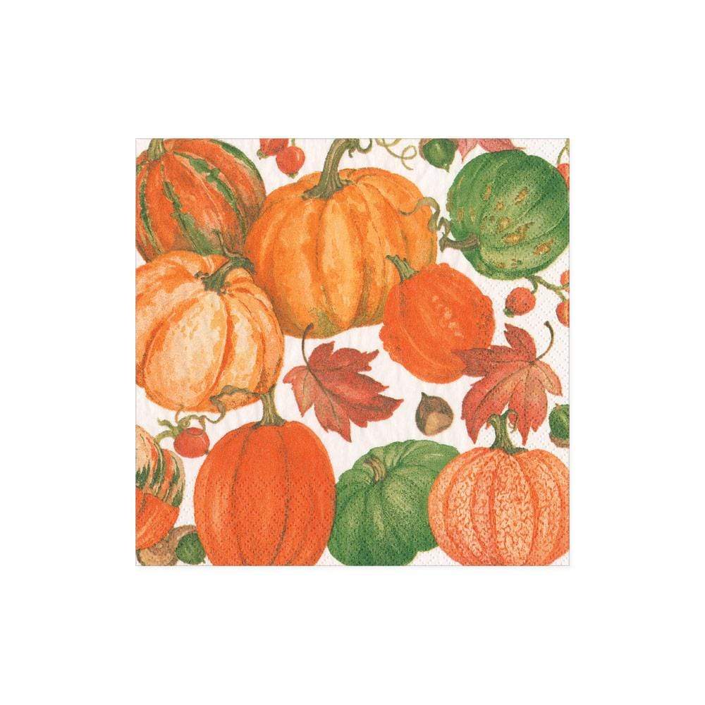 Pumpkin Field Paper Cocktail Napkins in White - 20 Per Package - touchGOODS