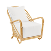 Arne Jacobsen Charlottenborg Chair Exterior - touchGOODS