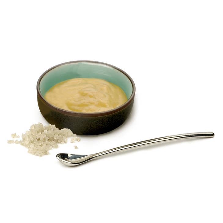 Salt/Condiment Spoon - touchGOODS