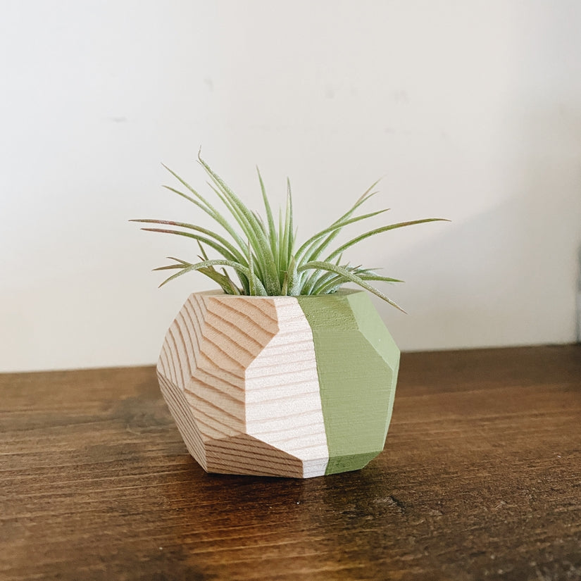 Small Geo Air Plant Holder (PLANT INCLUDED) - touchGOODS