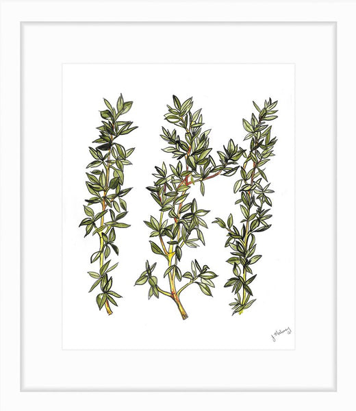 Thyme Watercolor Print by Jackie Maloney - touchGOODS