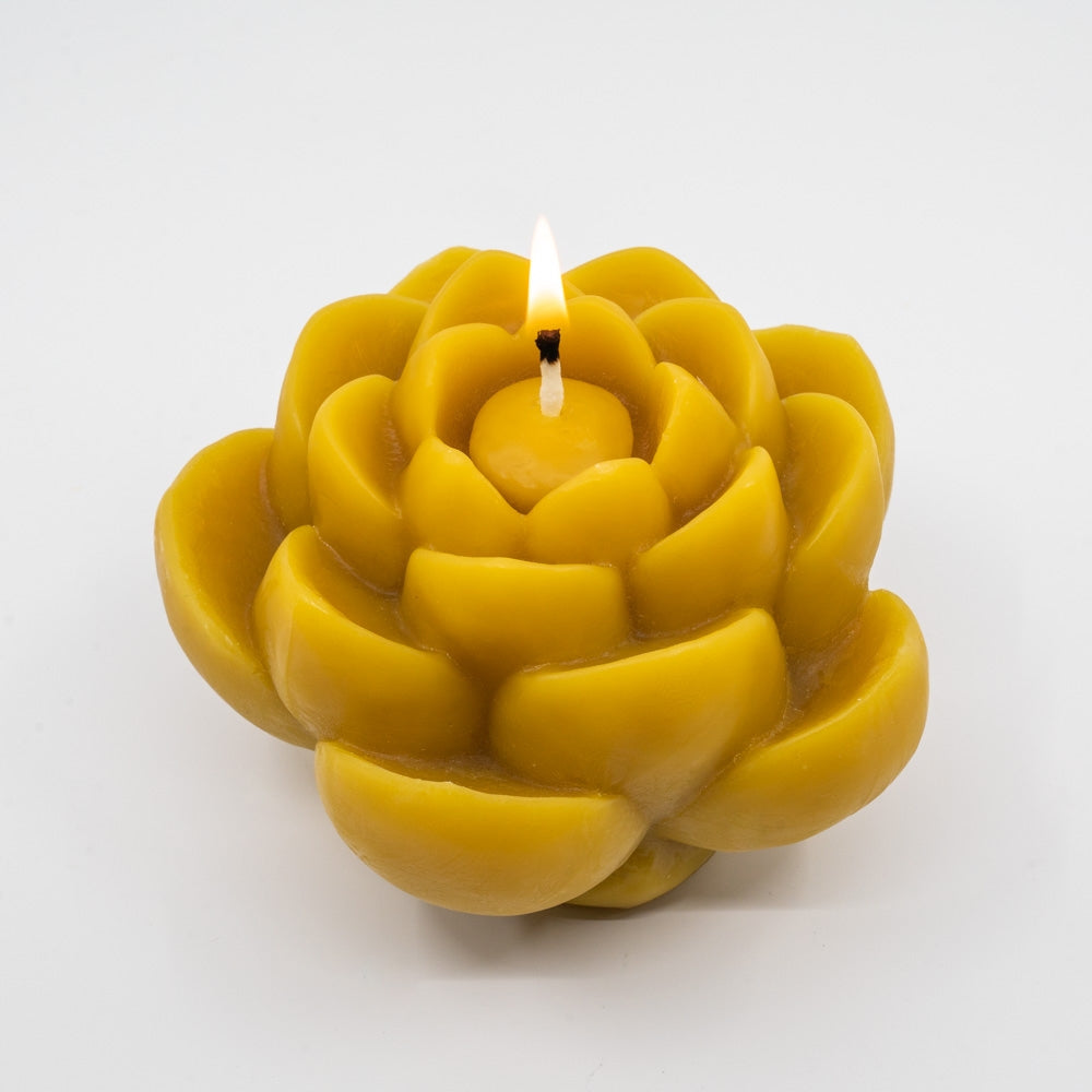 Beeswax Lotus Flower - touchGOODS