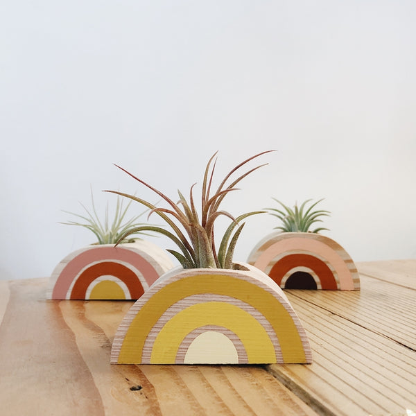 Rainbow Air Plant Holder (PLANT INCLUDED) - touchGOODS