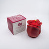 Beeswax Roses (with gift boxes) - touchGOODS