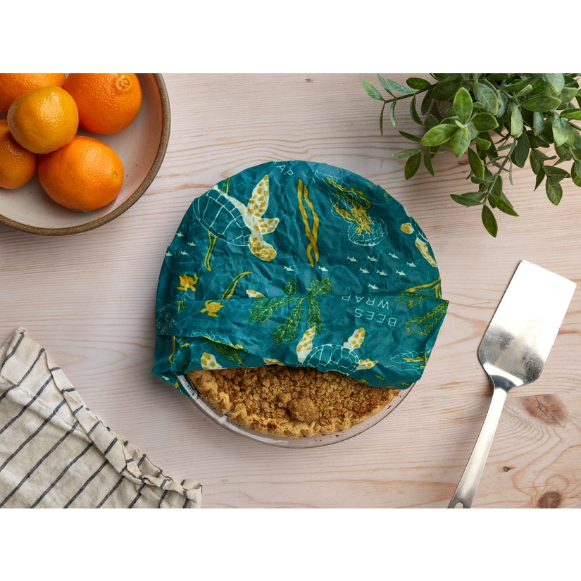 Oceans Print Food Wrap - Pack of 3 Assorted Sizes - touchGOODS