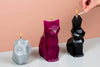 PYROPET KISA CANDLE | touchGOODS
