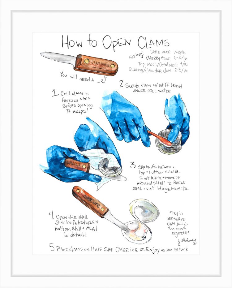 How to Open Clams Watercolor by Jackie Maloney - touchGOODS