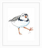 Piping Plover Watercolor Prints by Jackie Maloney - touchGOODS