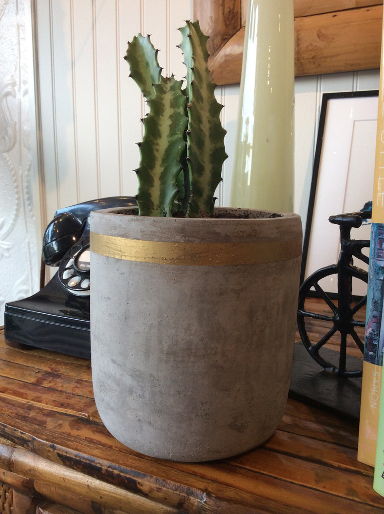 Tall Cement Planter with Gold Stripe 5 1/2"h | touchGOODS