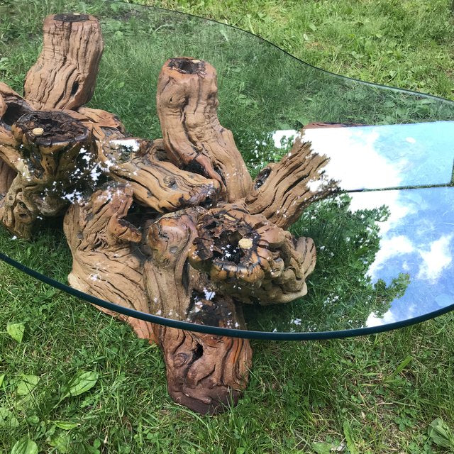 Mid Century Organic Form Vine Root Coffee Table | touchGOODS