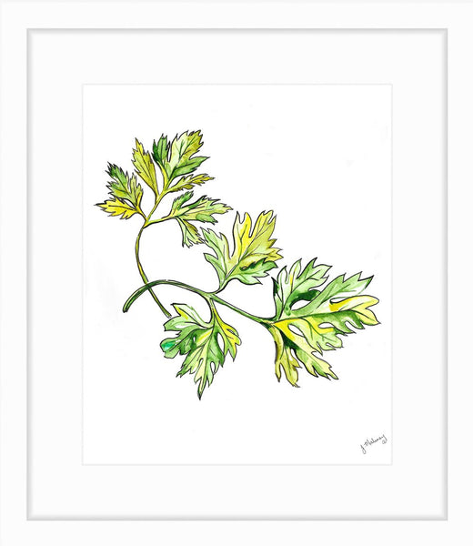 Parsley Watercolor Print by Jackie Maloney - touchGOODS