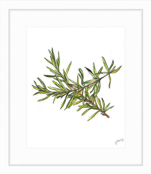 Rosemary Watercolor Print by Jackie Maloney - touchGOODS