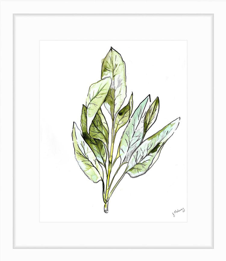 Sage Watercolor Print by Jackie Maloney - touchGOODS