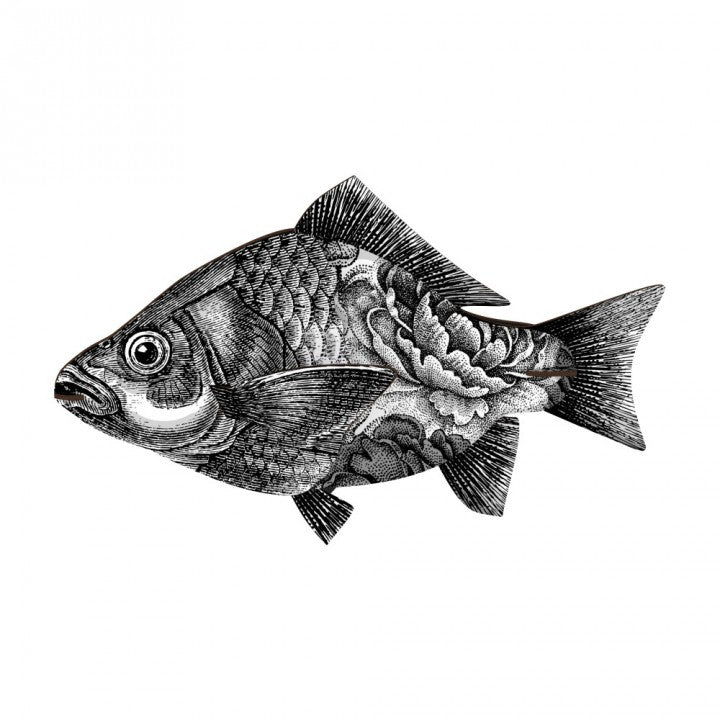 Fish - The Entrepreneur - touchGOODS